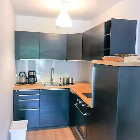 Apartment Boost Your Immo Les Cimes 172 Les Deux Alpes